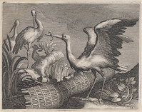 KG 02674
<br/>
Reigers
<br/>
<em>Bolswert, Boëtius (ca.1580-1633)</em>
